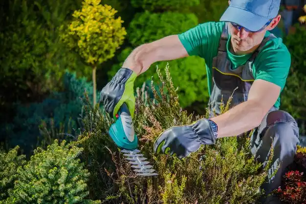 landscaping services Port Gibson